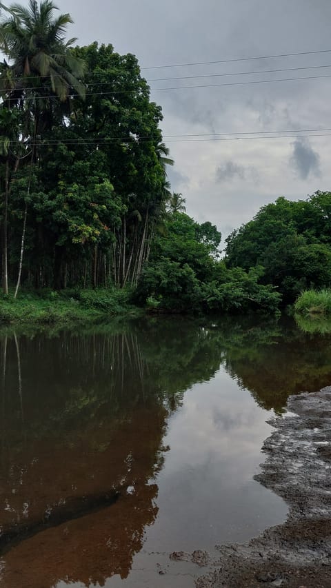 Khushawati river replenishes the farms on its banks.