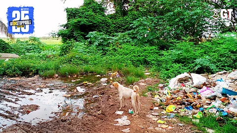 Garbage can be seen practically everywhere in Goa.