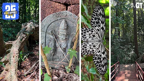 A big part of Goa's biodiversity is under threat.