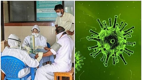 Coronavirus cases touch 60 in India