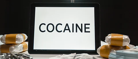 Goa police destroy 30 kg narcotics