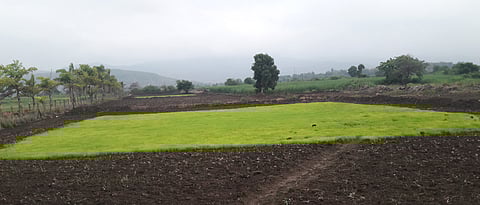 Representational image