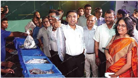 Full-fledged wholesale fish market with cold storage facilities at SGPDA market soon: CM