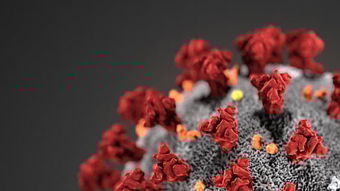 3 UK returnees' Covid samples test negative for Omicron