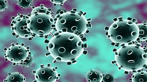 Two foreign travellers for suspected novel coronavirus discharged
