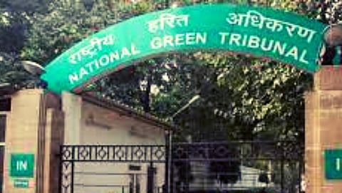 No extension for CZMP finalisation: NGT