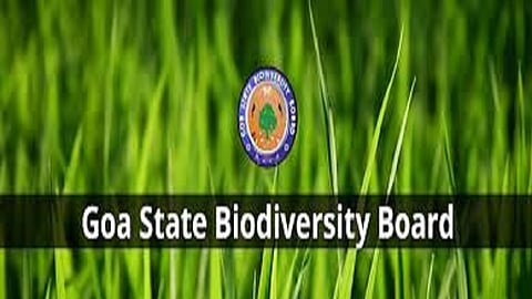 GSWA extends the last date for entries of various competitions till February 29