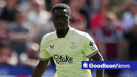 Everton star Idrissa Gueye in action.