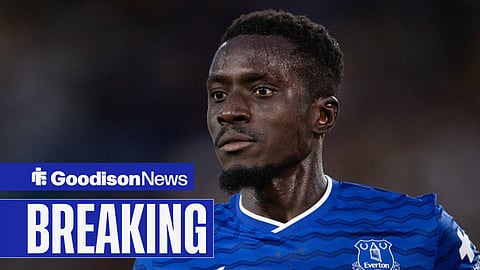 Idrissa Gana Gueye in action for Everton.