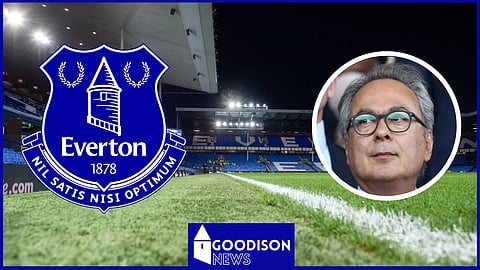 Farhad Moshiri has been criticised for his role at Everton