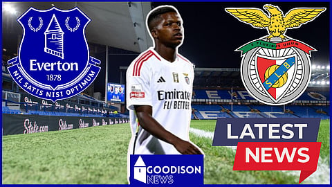 Florentino Luis has been linked with a move from Benfica to Everton