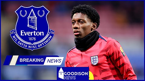 Everton are eyeing a summer transfer for Jaden Philogene