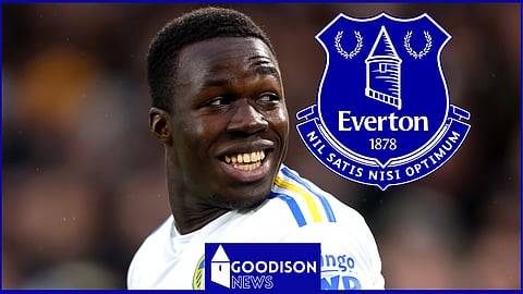 Everton are again trying to sign Willy Gnonto from Leeds United
