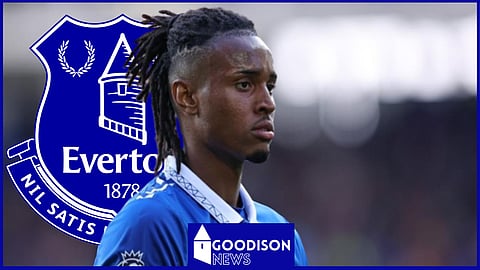 Youssef Chermiti suffered an injury in Everton pre-season