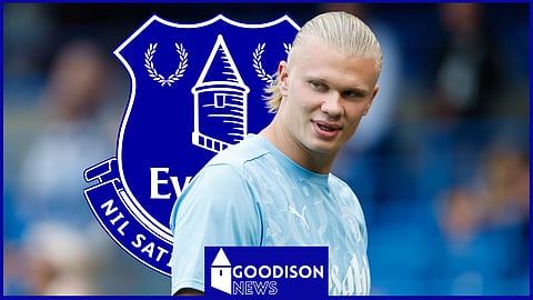 Erling Haaland would struggle at Everton after what has been said (Credit: Imago)