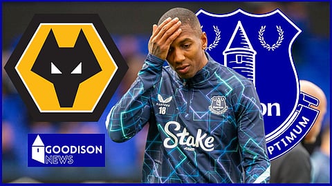 Ashley Young scored for Everton against Wolves (credit: Imago)