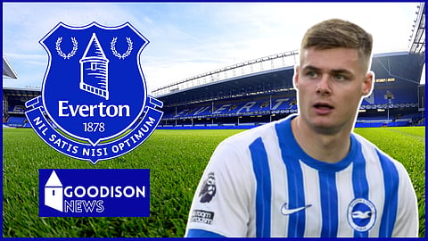 Everton want to sign Brighton's Evan Ferguson. Credit: Imago