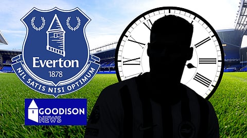 Everton are looking to strike another deal before the deadline (Credit: Imago)