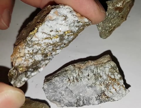 Traces of gold found in rocks. To extract the gold, the ore is crushed, then the gold dust is separated from the ore by various methods.