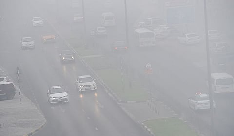 Monster fog and mist causes low visibility in Abu Dhabi
