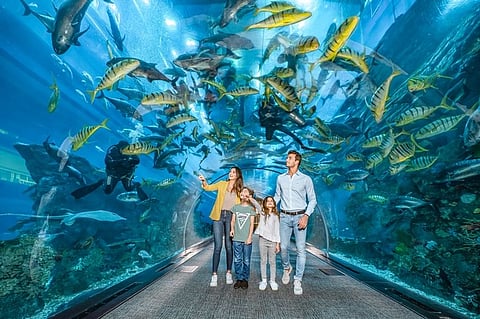 Emirates gives Dubai travellers Dh535 in free attraction passes this winter