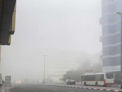 Unsettled weather in the UAE is expected to bring scattered rain, and fog particularly across coastal, northern, and eastern areas. File photo.
