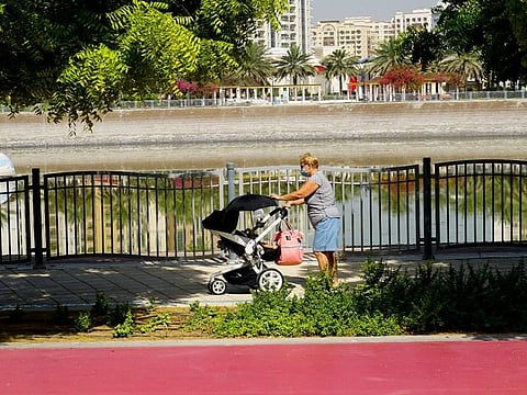 Initiative forms part of ongoing efforts to enhance the urban environment through additional greenery and sustainable landscaping.