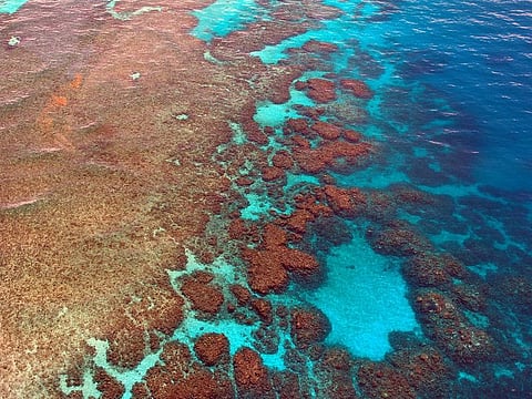 Police are investigating the death of an 80-year-old traveller who was stranded on Lizard Island, part of Australia's Great Barrier Reef.