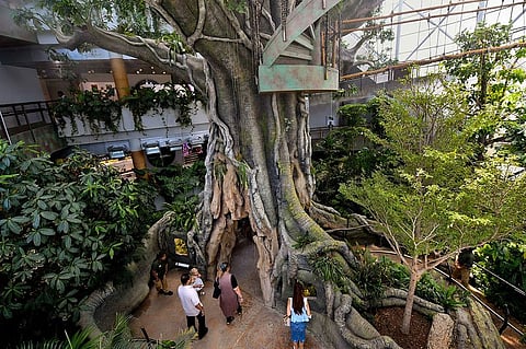 Escape the summer temperatures with exciting indoor adventures, immersive exhibits, and family-friendly activities at Dubai's top attractions.