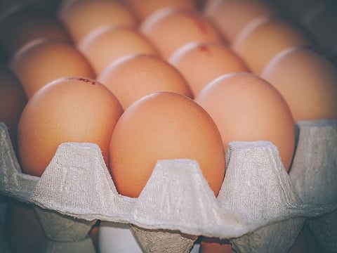 Saudi Arabia bans poultry and egg imports from 40 countries to safeguard public health