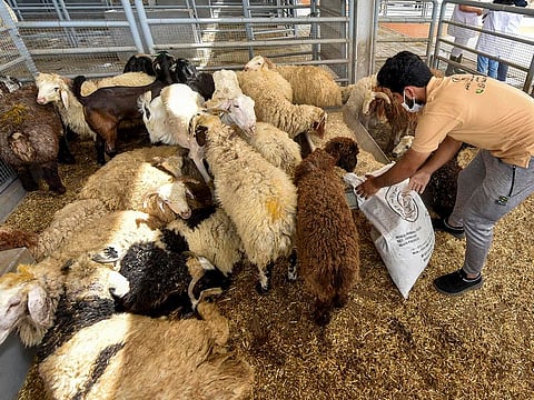 File photo used for illustrative purposes.