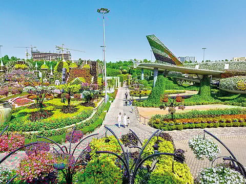 Traffic alert: Expect delays near Dubai Miracle Garden this weekend