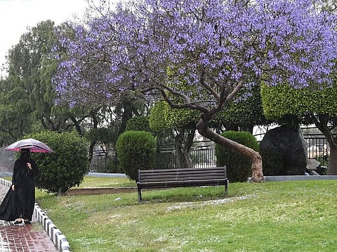 NCM Spokesperson said not all violations were met with financial penalties.