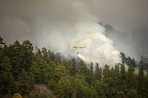 Northeast Spain wildfire destroys over 12,000 hectares: regional authorities