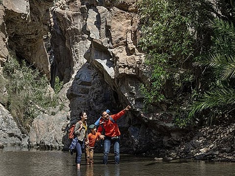 With a renewed focus on promoting its pristine beaches, hiking trails, theme and water parks, nature and wildlife, entertainment and events, and family-friendly adventure, Sharjah is going the extra mile to showcase its diversity to the world.