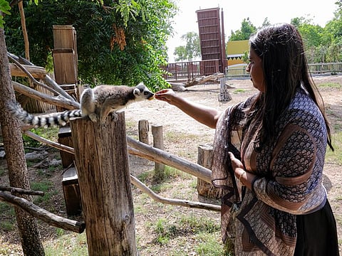 Visitors at the pre-launch event at Dubai Safari Park on September 29, 2024. Dubai Safari Park will close its gates on June 1 for seasonal upgrades.