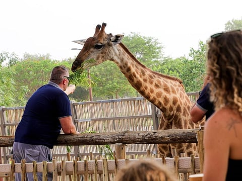 Dubai Safari Park to reopen for Season 7 in October