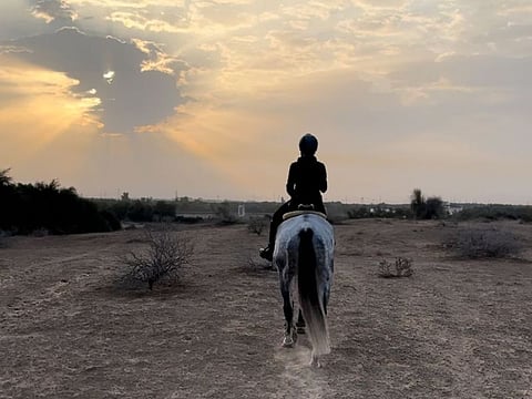 Solitude is essential for self-reflection, growth, and clarity—it's in our quietest moments that we find our truest selves