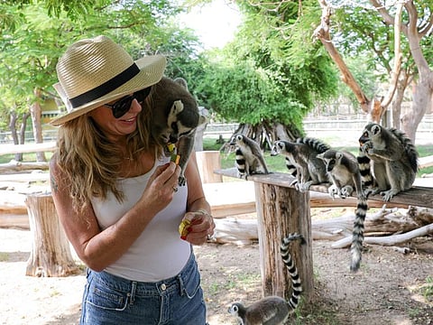 Safari adventure, animal encounters, feeding activity and live presentations are among the popular experiences and activations at Dubai Safari Park.