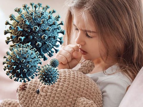 The human metapneumovirus (HMPV) can cause upper respiratory tract infections as well as serious lung infections. It spreads through respiratory droplets when an infected person coughs or sneezes. It can also spread by touching contaminated surfaces and then touching the face. Illustrative image.