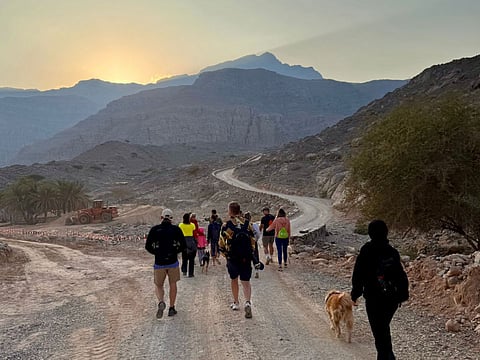A group of residents taking rescue dogs from the Ras Al Khaimah Animal Welfare Centre on a hike in Ras Al Khaimah.