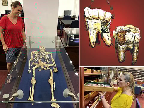 Skeletons of Australopithecus were found in Sterkfontein cave near Johannesburg, part of South Africa’s “Cradle of Humankind”, an area known for its rich collection of early hominins fossils.