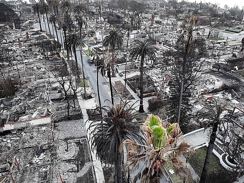 An aerial view of trees and homes which burned in the Palisades Fire on January 28, 2025 in Pacific Palisades, California.