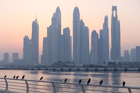 Dubai’s market is bucking a global trend as prime residential prices slow or drop in many other international markets