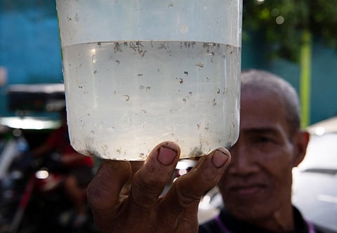 Resident Miguel Labag shows a plastic container with mosquito larvaes as he prepares to hand them over in exchange for pesos as part of the village program "peso for a mosquito" to eradicate dengue at a village in Manila on February 19, 2025.