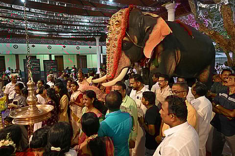 Hindu devotees gather around an adorned robotic elephant, newly donated by the Voice for Asian Elephants Society (VFAES), for religious rituals at the Chakkamparambu Bhagavathy temple in Thrissur, in India's Kerala state. The elephant flaps its ears and waves its trunk. Still, this elephant model is a lifesize and lifelike mechanical replica rolled out in India as an alternative to the highly sensitive and endangered animals used for religious festivals in Hindu temples.