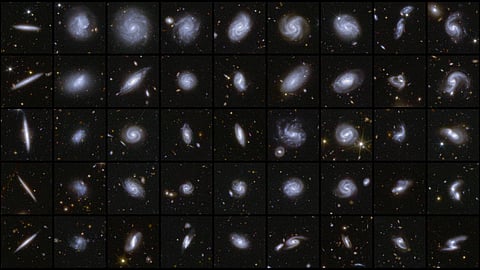 Euclids new image of examples of galaxies in different shapes, during Euclid first observations of the Deep Field areas.