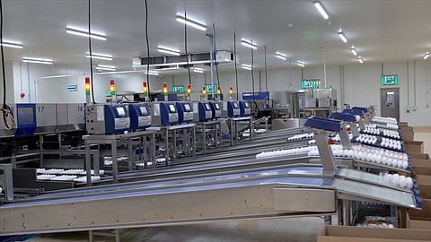 Arabian Food Production Company: An emerging leader in the regional egg industry