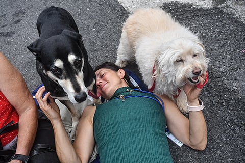 A woman and her dogs attend the instrumental concert for pets by Costa Rica's artist Carlos Vargas during the urban festival "Amon Cultural" in San Jose.