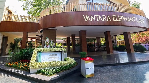 Vantara takes a nature-first approach to wildlife rescue and rehabilitation